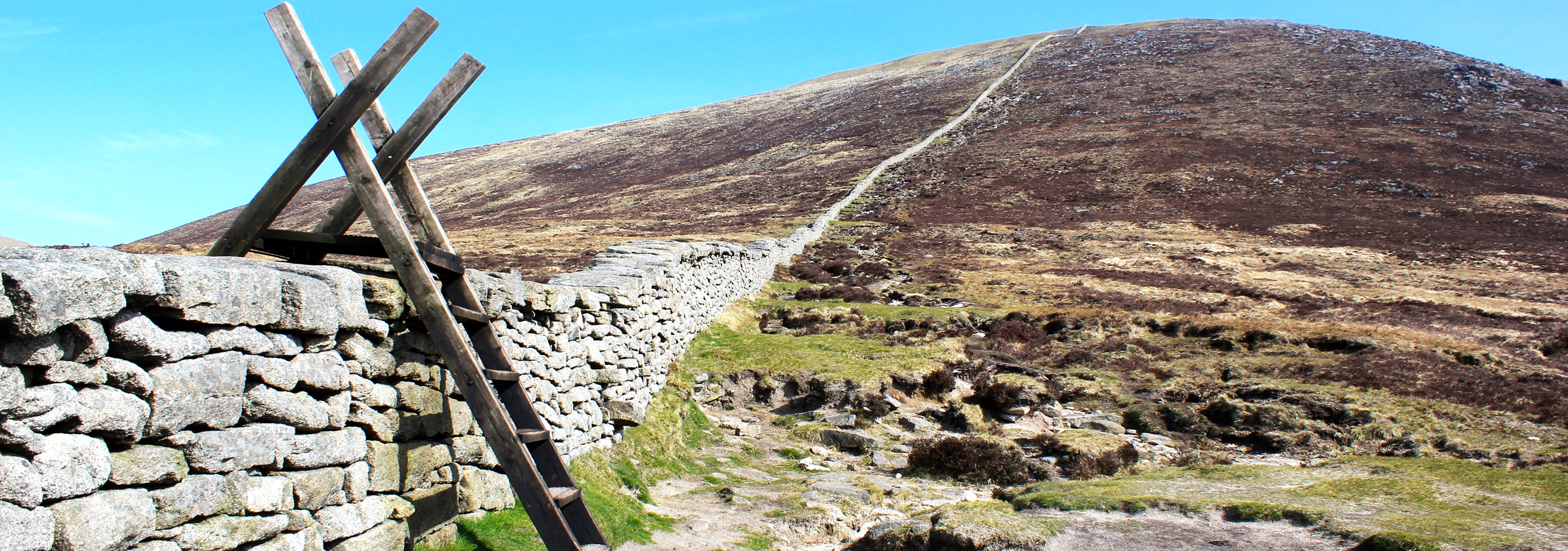 Bog of Slieve Donard